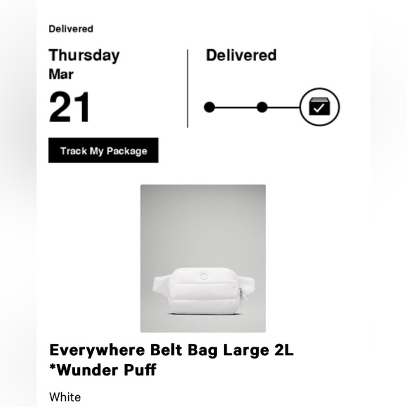 NWT Everywhere Belt Bag Large 2L Wunder Puff - Picture 8 of 8